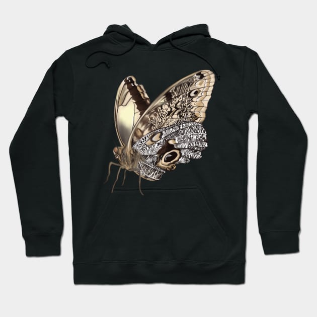 Spread your wings Hoodie by Parks Place Art